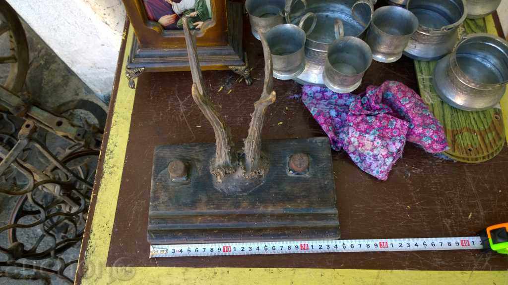 5932. VERY OLD OLIVES ELENOV ROG - 5 5932. VERY OLD OLIVES ELENOV ROG - 5