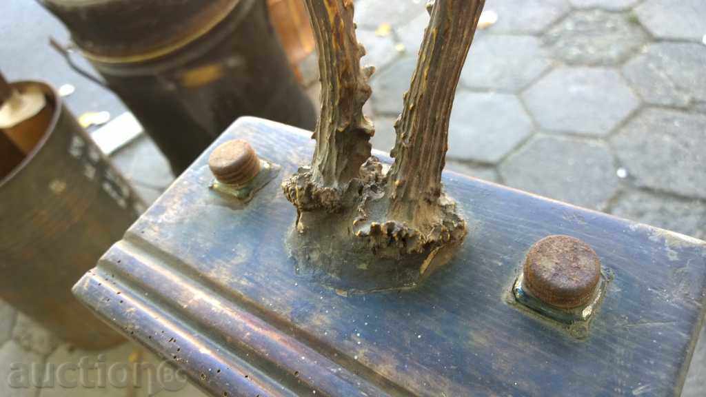 5932. VERY OLD OLIVES ELENOV ROG - 6 5932. VERY OLD OLIVES ELENOV ROG - 6