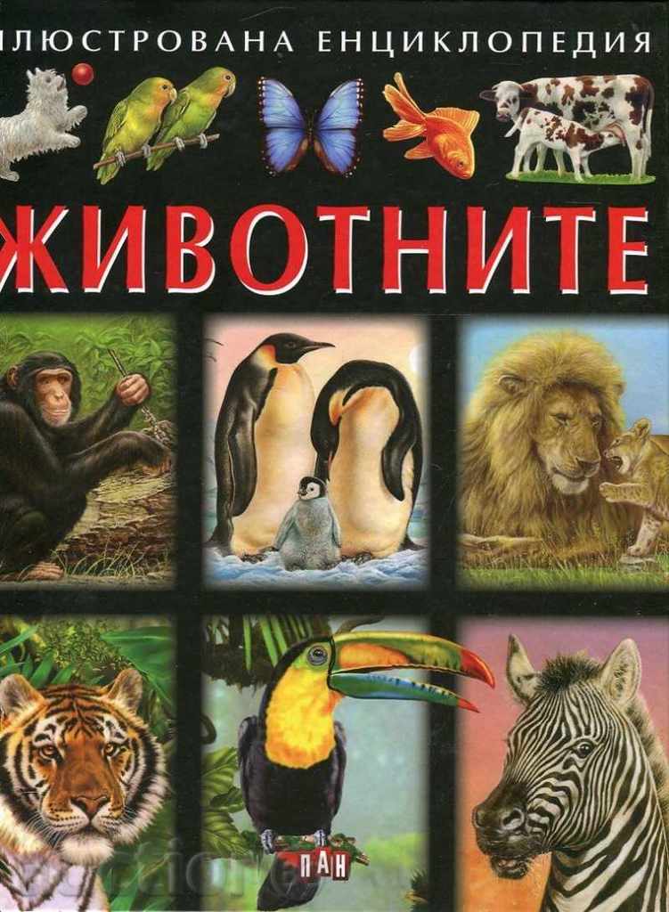 Enciclopedia ilustrată. animale