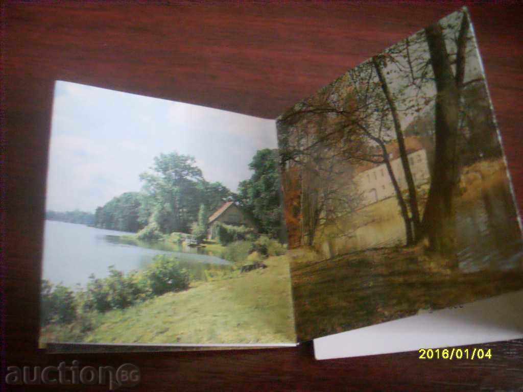 OLD ORIGINAL CARD HARMONICA GERMANY NEUER GARTEN with price 1.00 BGN | € 0.51