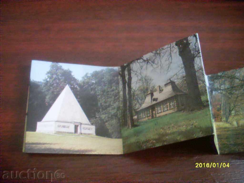 Auction  OLD ORIGINAL CARD HARMONICA GERMANY NEUER GARTEN