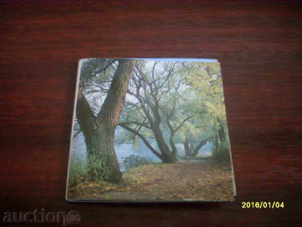 СТАРА ОРИГИНАЛНА КАРТИЧКА ХАРМОНИКА ГЕРМАНИЯ NEUER GARTEN