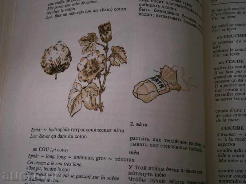 Franco RUSĂ Illustrated dicționar - 4000 de cuvinte - 1977 - 7