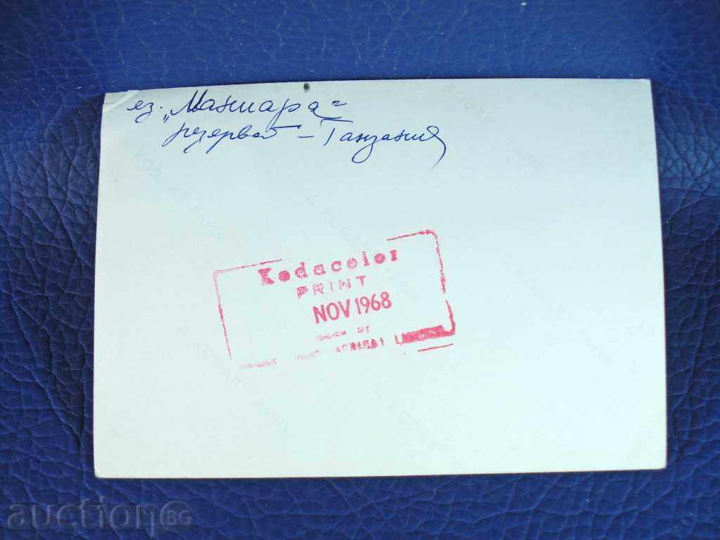 1610 Tanzania elephant photography on the shores of Lake Manara with price 1.00 BGN | € 0.51 1610 Tanzania elephant photography on the shores of Lake Manara with price 1.00 BGN | € 0.51