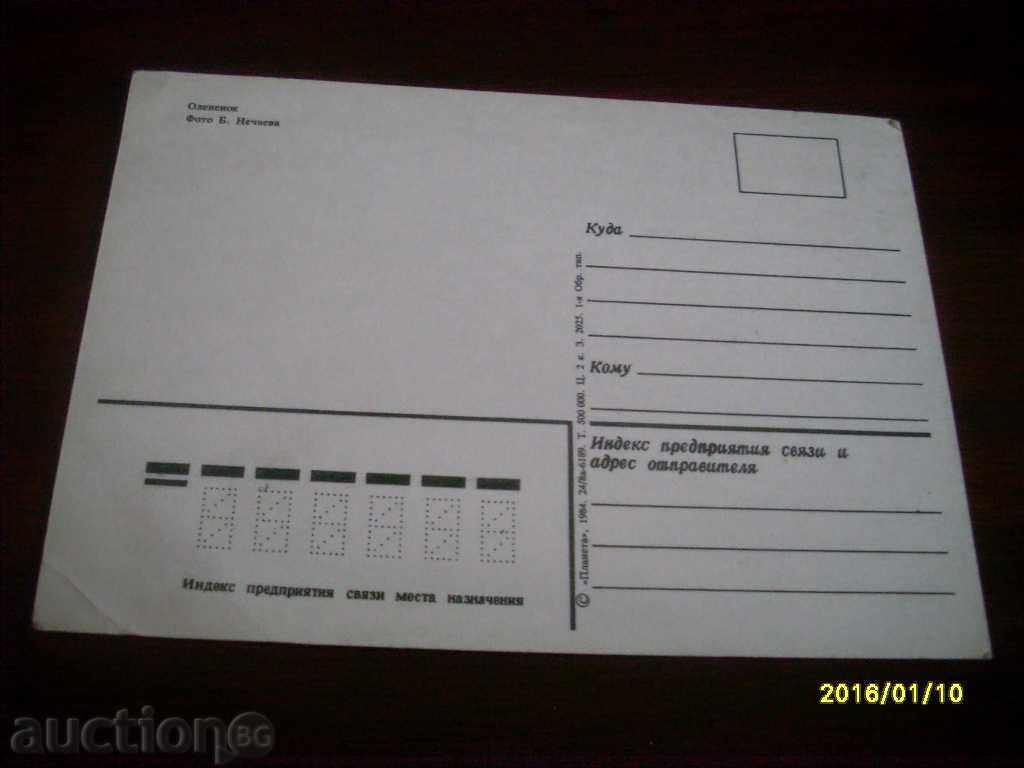 STAR POSTED CARD USSR with price € 0.10 | 0.20 BGN