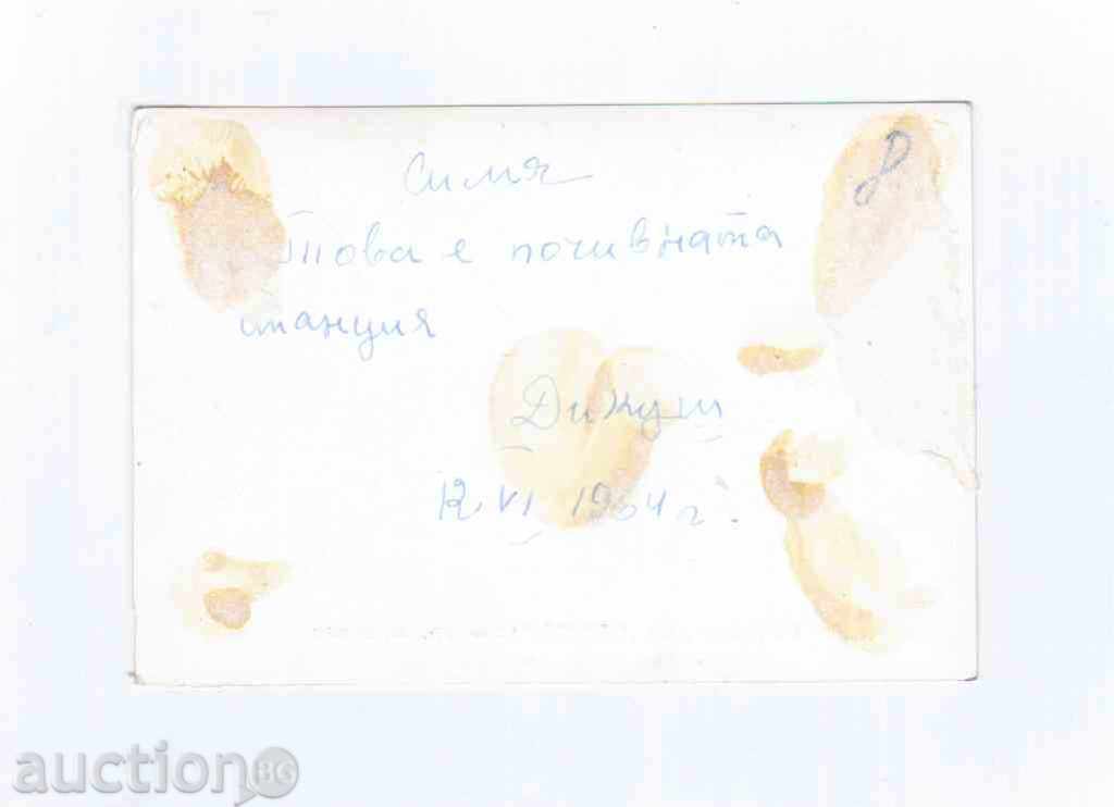 PK HOLIDAY HOME "PATLEYNA" -Preslave - 1964 with price 1.00 BGN | € 0.51 PK HOLIDAY HOME "PATLEYNA" -Preslave - 1964 with price 1.00 BGN | € 0.51