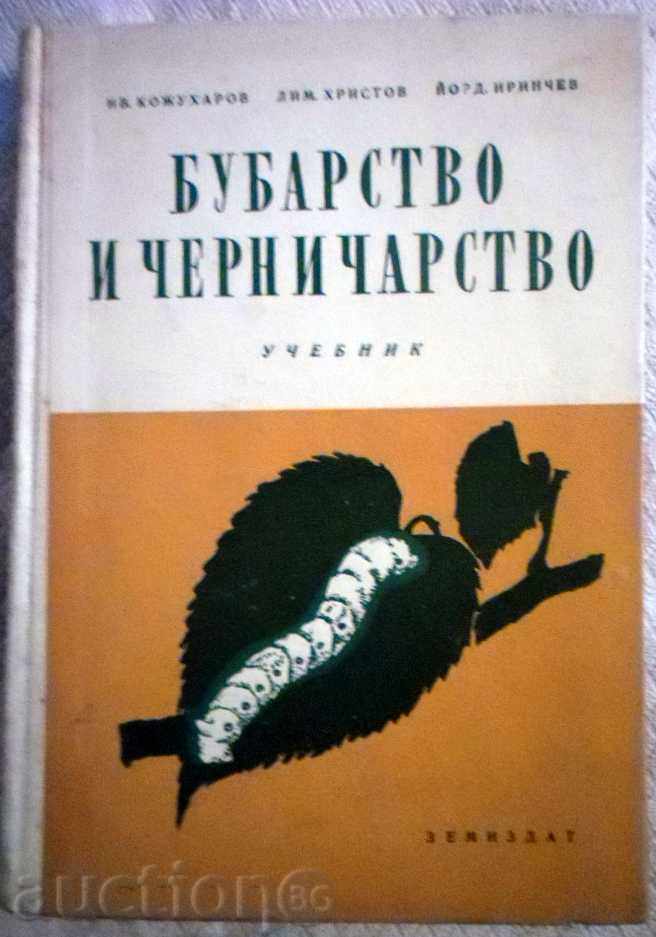 BUBBLE AND CHRONICLE