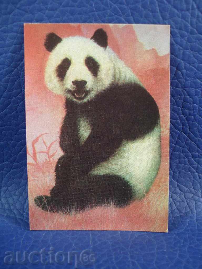 1636 ημερολόγιο τσέπης Βουλγαρία ζώα panda 1977