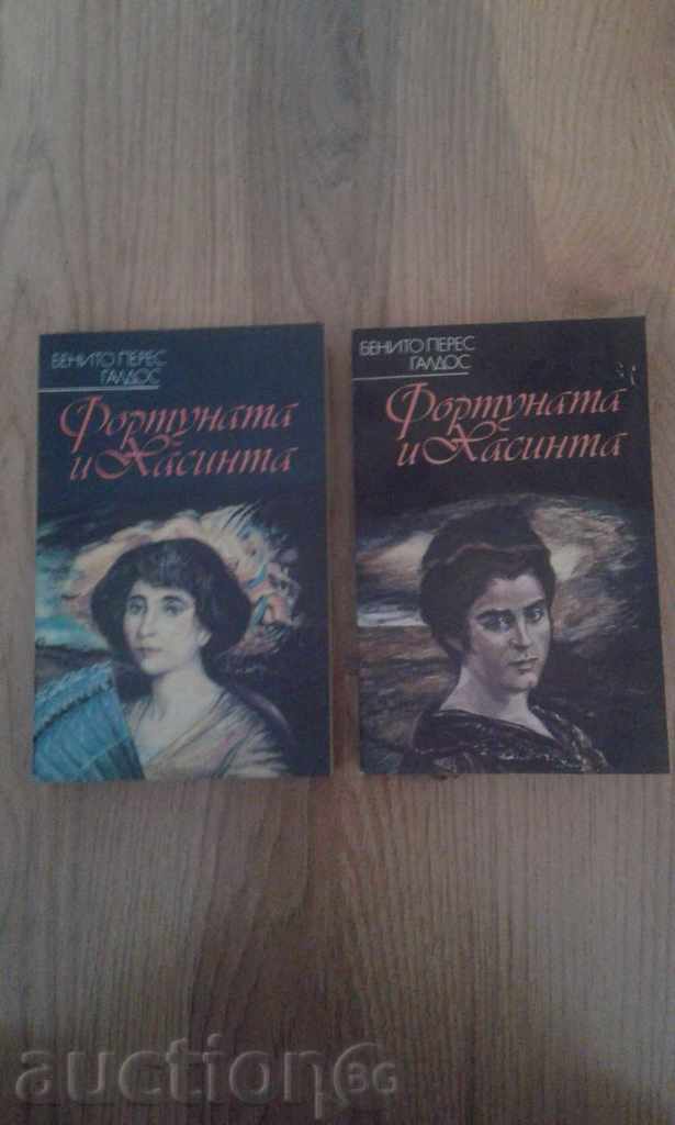 Fortuna and Hasinta 1 and 2 book - Benito Perez Galdos