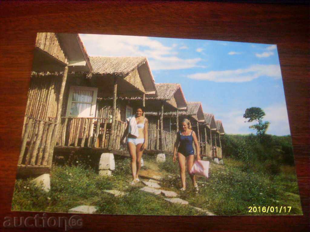 OLD POSTCARD - Michourin Oasis