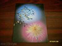 STAR POSTED CARD - USSR