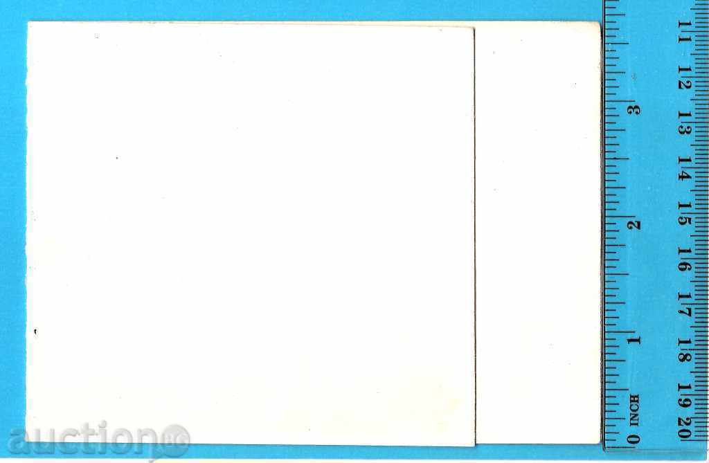 ROG GROUP-SIGNAL-MUSICIAN-HIT-AUTHENTIC OLD PICTURE with price 6.00 BGN | € 3.07 ROG GROUP-SIGNAL-MUSICIAN-HIT-AUTHENTIC OLD PICTURE with price 6.00 BGN | € 3.07