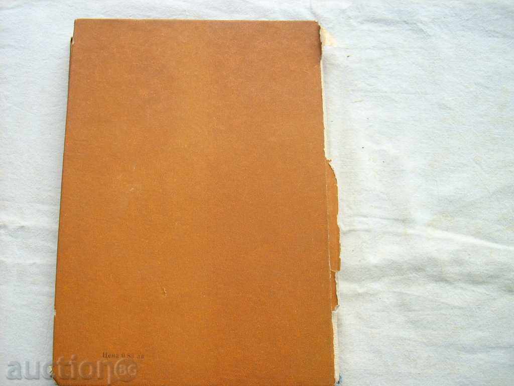 DONATE SHAINE "LOW GOOD" - 5 DONATE SHAINE "LOW GOOD" - 5