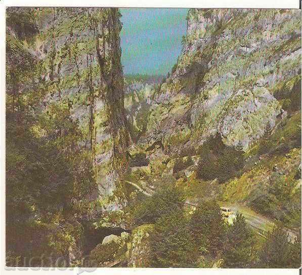 Картичка  България  Пещерата "Дяволското гърло"*