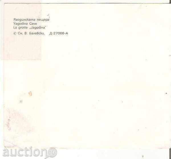 Map Bulgaria Cave "Yagodinska cave" * with price 0.50 BGN | € 0.26 Map Bulgaria Cave "Yagodinska cave" * with price 0.50 BGN | € 0.26