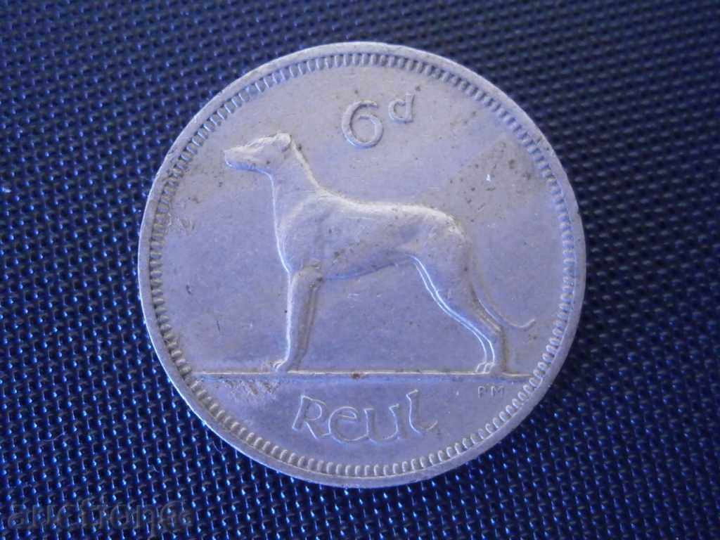 an eerie coin with a dog