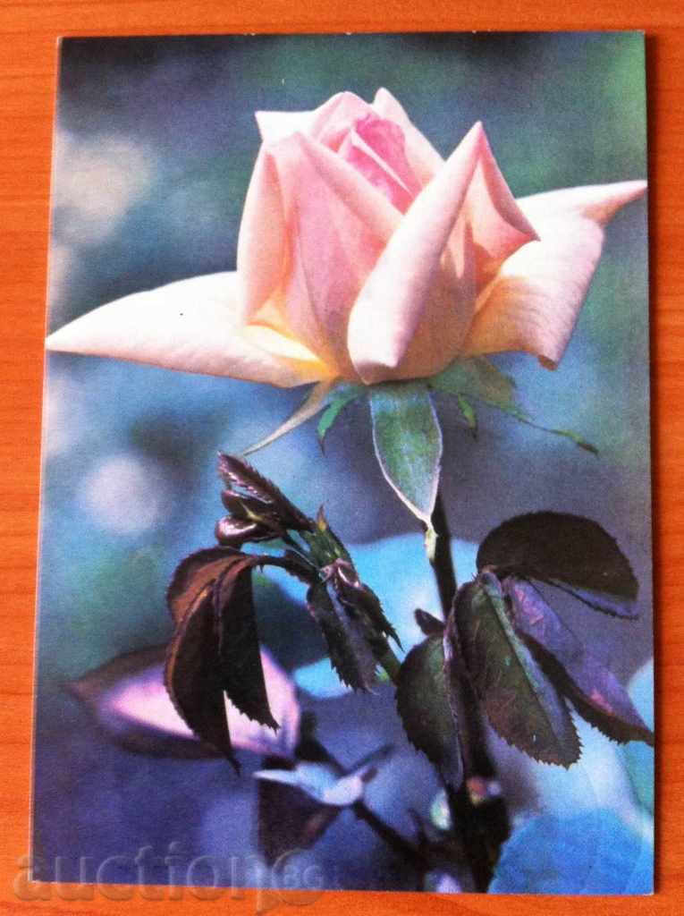 2470 USSR card with flowers 1984