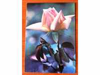 2470 Σοβιετική καρτ-ποστάλ με λουλούδια 1984