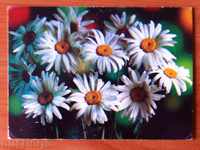 2479 Σοβιετική καρτ-ποστάλ με λουλούδια 1983