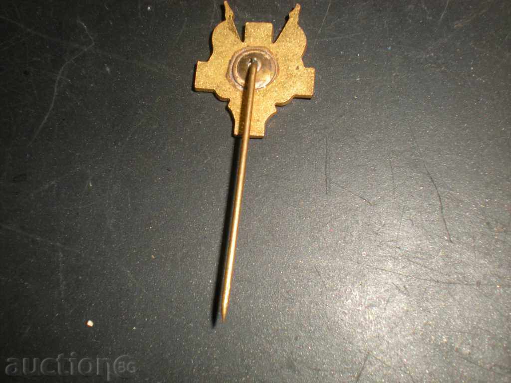 Sell ​​badge. with price 14.90 BGN | € 7.62