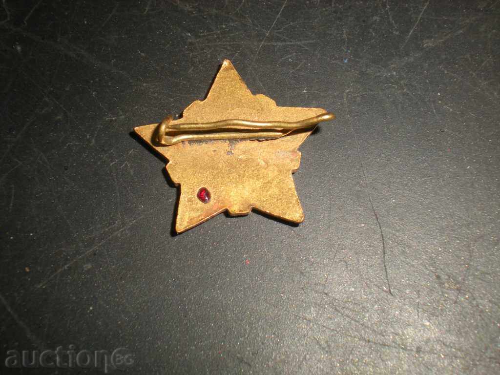 Sell ​​badge. with price 7.00 BGN | € 3.58