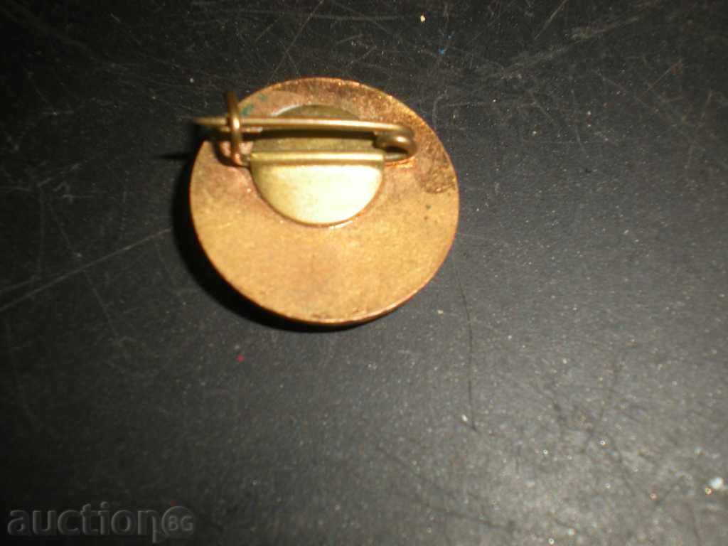 Sell badge. with price 3.50 BGN | € 1.79 Sell badge. with price 3.50 BGN | € 1.79