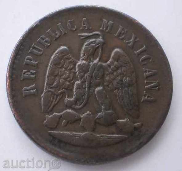 Mexic 1 Tsentavo1893 moneda destul de rare cu preț € 17.90 | 35.01 BGN Mexic 1 Tsentavo1893 moneda destul de rare cu preț € 17.90 | 35.01 BGN