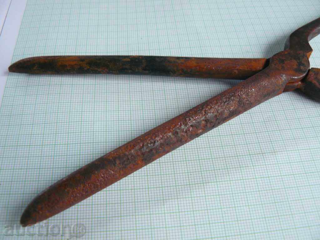 Δημοπρασία Παλιά τα μαλλιά Κέρλινγκ Δημοπρασία Παλιά τα μαλλιά Κέρλινγκ