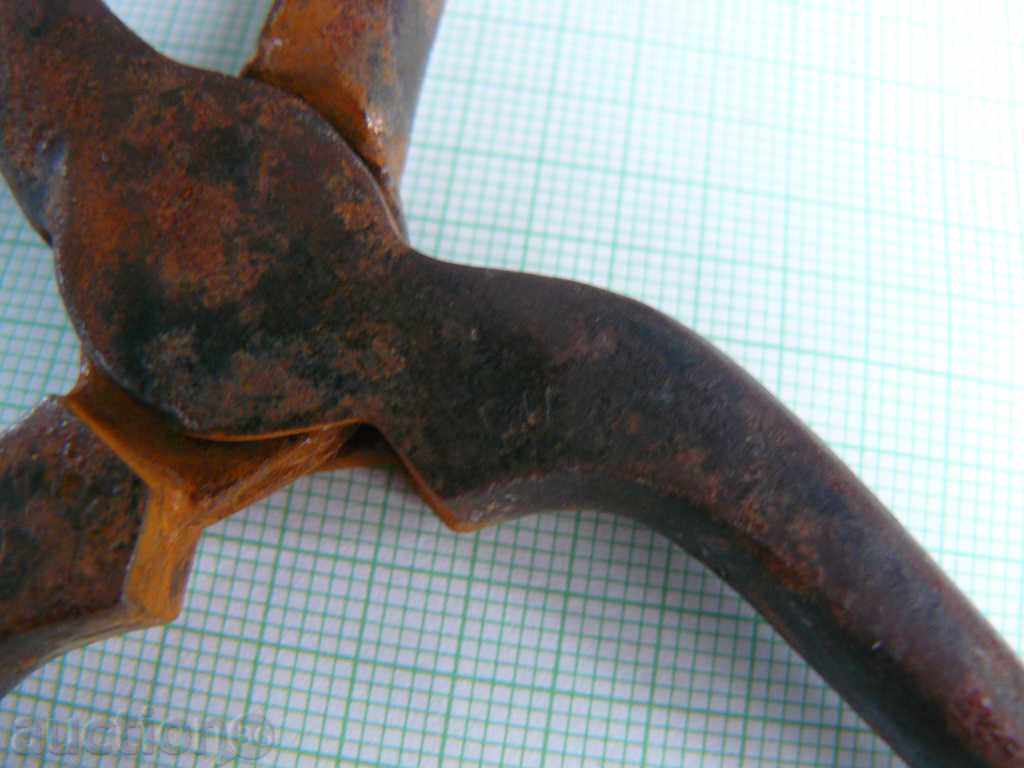 Παλιά τα μαλλιά Κέρλινγκ - 5 Παλιά τα μαλλιά Κέρλινγκ - 5