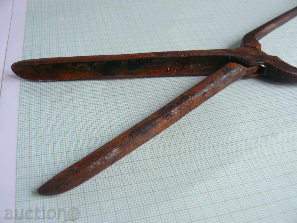 Παλιά τα μαλλιά Κέρλινγκ - 7 Παλιά τα μαλλιά Κέρλινγκ - 7