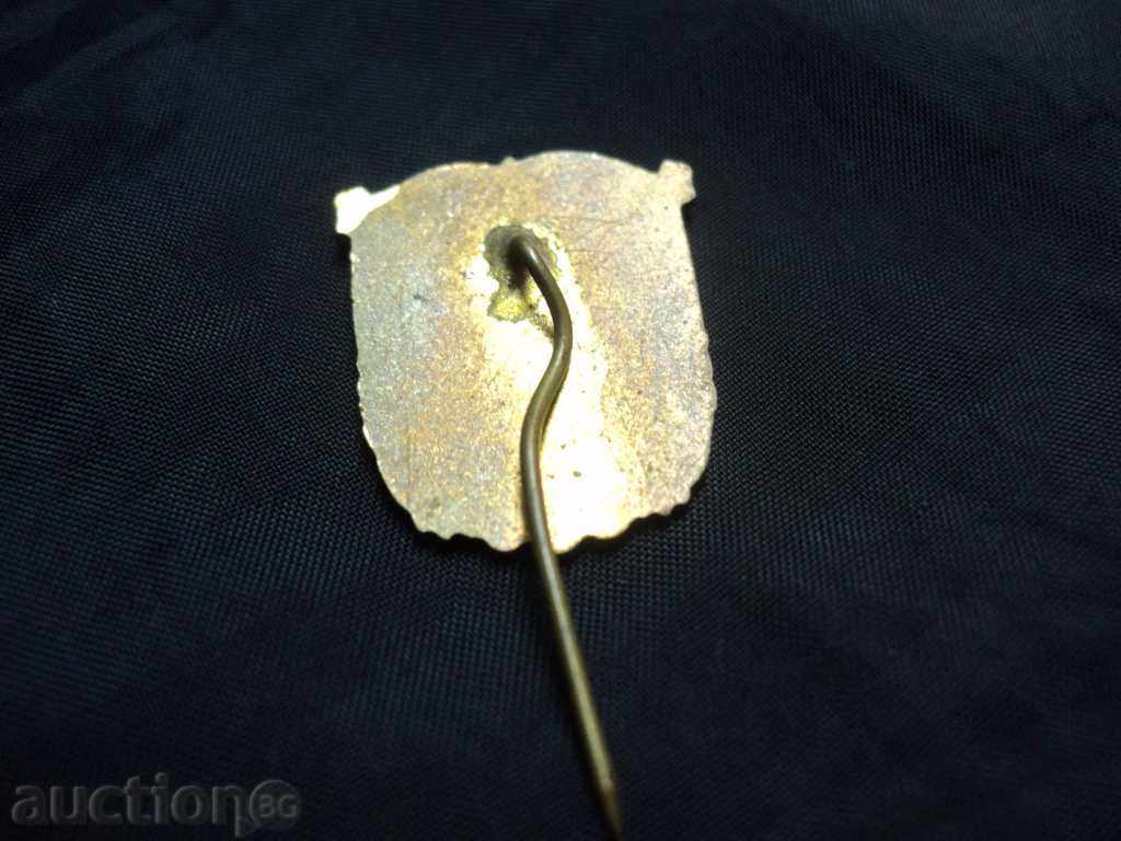 Livrarea Conectați-vă stea -Start Zagora.