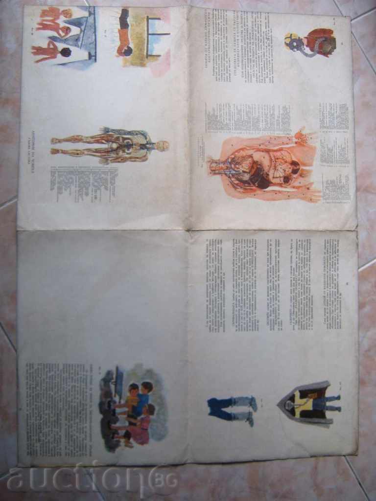 Kinoplan 9 with price 29.00 BGN | € 14.83 Kinoplan 9 with price 29.00 BGN | € 14.83