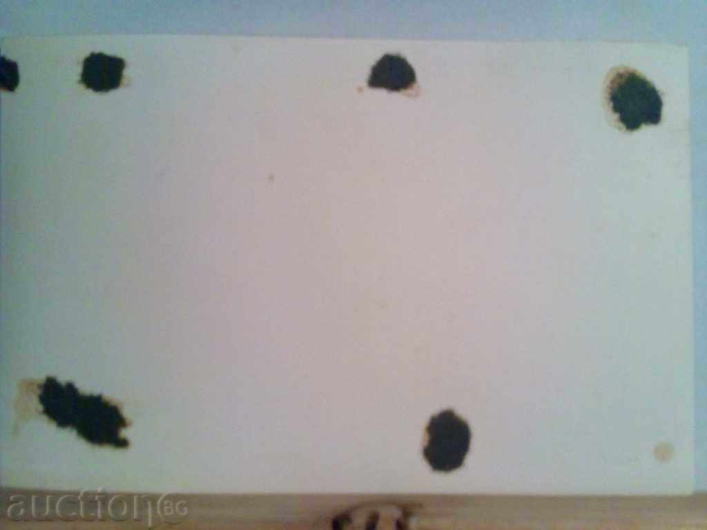 Sofia Loren with price 5.00 BGN | € 2.56 Sofia Loren with price 5.00 BGN | € 2.56