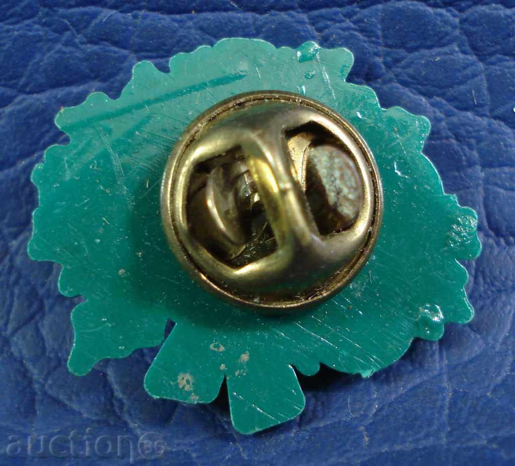 3602 Christmas New Year's Pin on Pin with price 1.00 BGN | € 0.51 3602 Christmas New Year's Pin on Pin with price 1.00 BGN | € 0.51