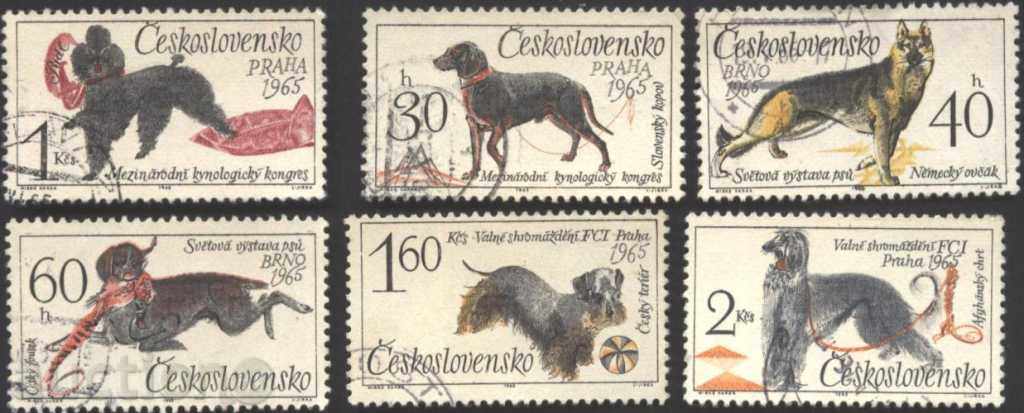 Kleymovani μάρκες σκυλιά 1965 από την Τσεχοσλοβακία
