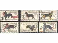 Клеймовани марки  Кучета 1965  от Чехословакия