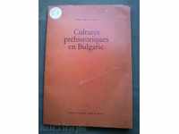 Cultures préhistoriques en Bulgarie
