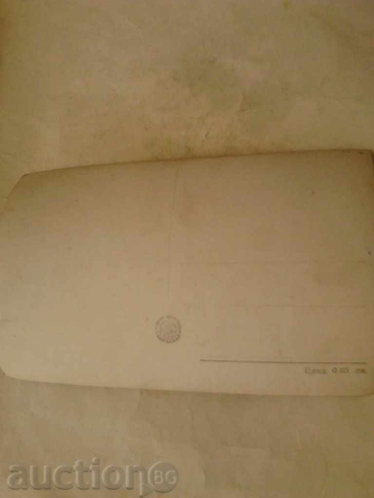 Trimite o felicitare Gina Lollobrigida cu preț 0.55 BGN | € 0.28 Trimite o felicitare Gina Lollobrigida cu preț 0.55 BGN | € 0.28