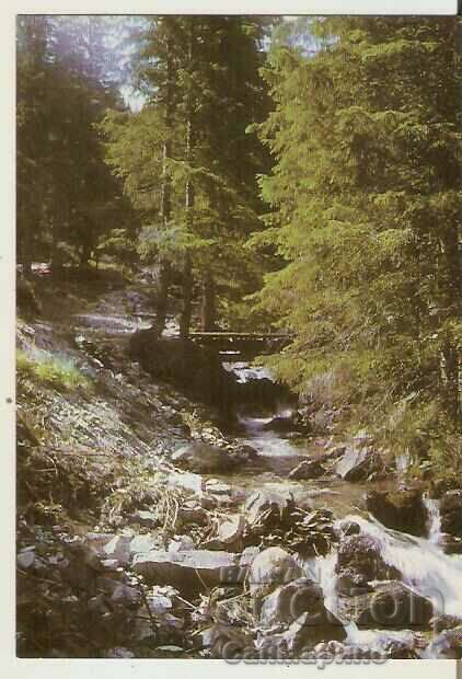 Καρτ ποστάλ Βουλγαρία Μπόροβετς ποταμού Bistrica *