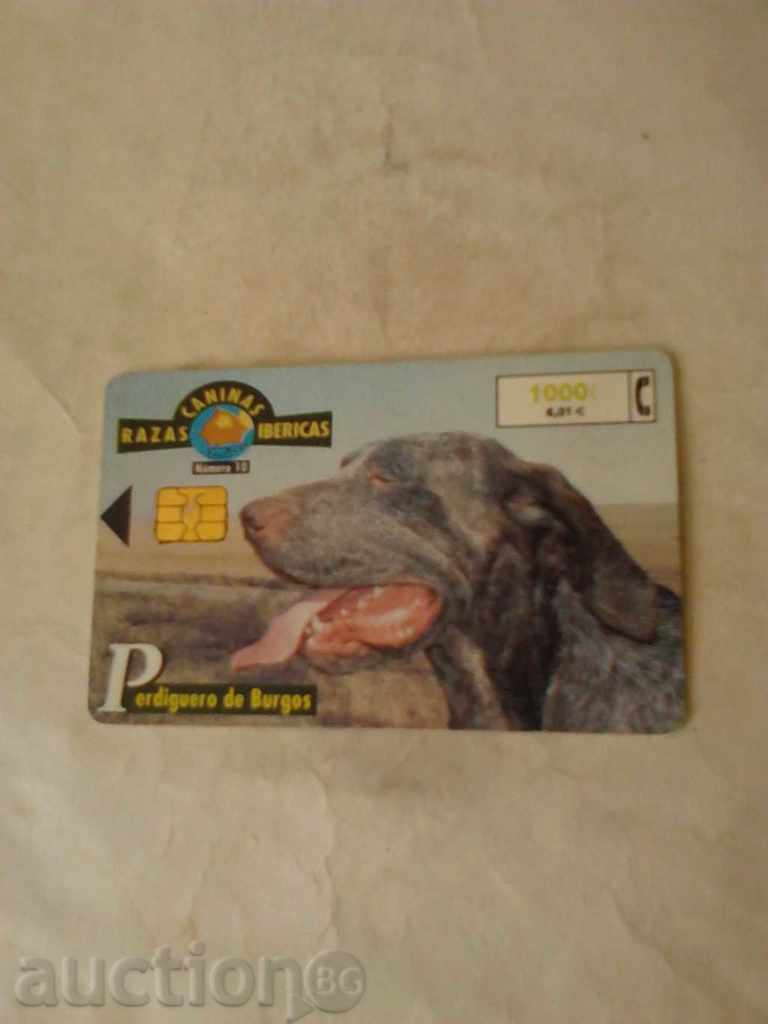 Calling Card Telefonica Perdiguero de Burgos cu preț 0.55 BGN | € 0.28 Calling Card Telefonica Perdiguero de Burgos cu preț 0.55 BGN | € 0.28