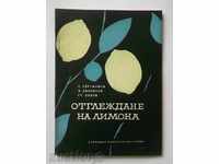 Καλλιέργεια λεμόνια - Σ Serafimov L. Djilianov 1964