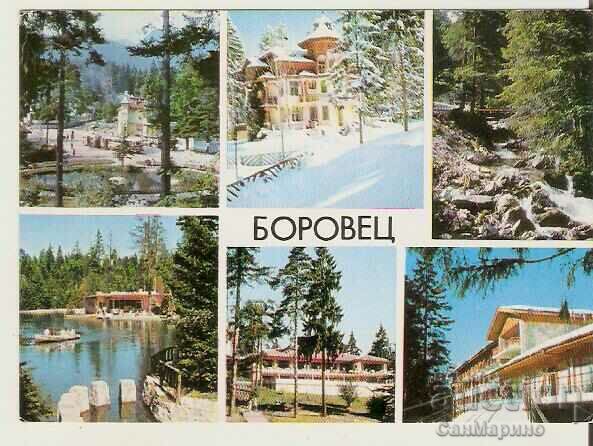 Καρτ ποστάλ Βουλγαρία Μπόροβετς 3 *
