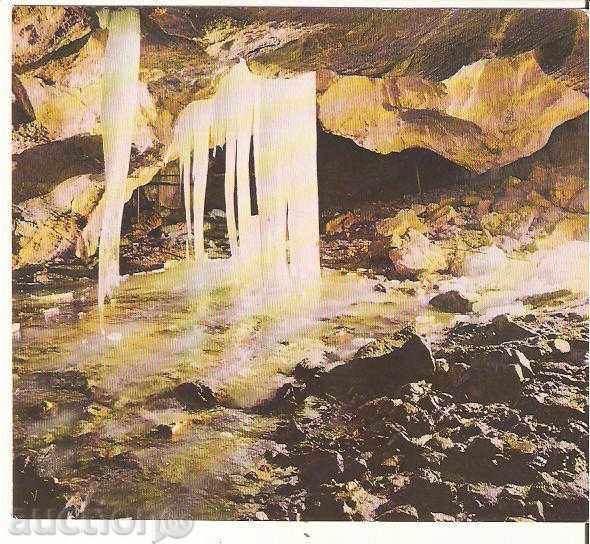 Картичка  България  Пещерата "Леденика"*