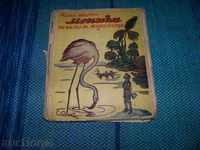 ”Моника на път за Мадагаскар” издание 1936г.