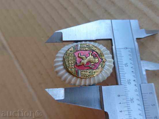 Enamelled Sock Cocarda enamel badge badge - 5