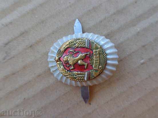 Enamelled Sock Cocarda enamel badge badge - 7