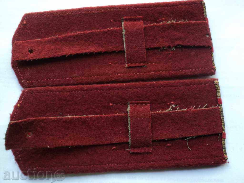 Delivery of RED CARGO PAGONS.