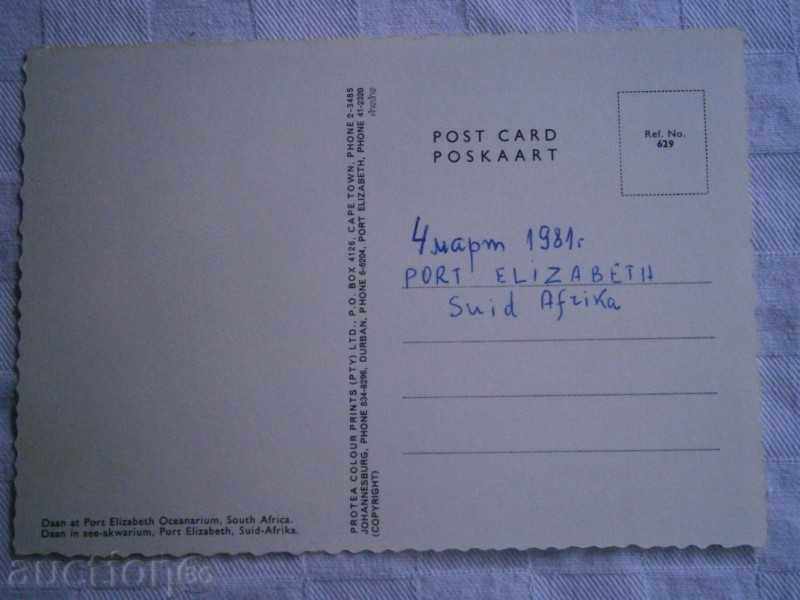 PORT ELIZABETH PORT - AFRICA DE SUD - 1981 cu preț 5.00 BGN | € 2.56