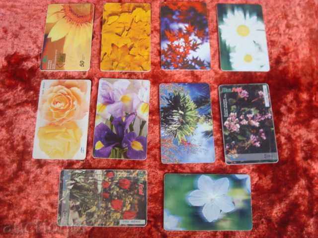 PHONOKARTI BULFON - "Flowers and leaves".