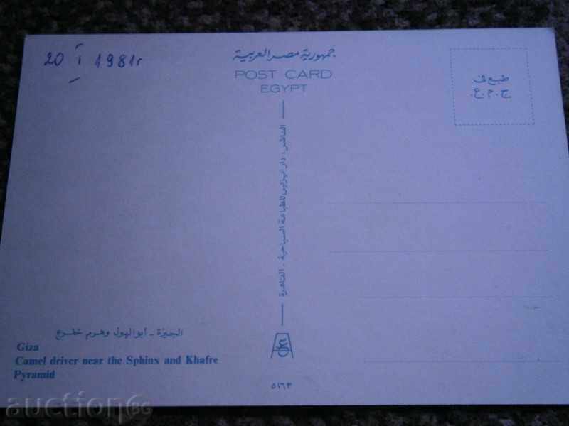 Card GIZA - EGYPT - SPINKS PIRAMIDA KAMILI - 80-TE with price 2.95 BGN | € 1.51 Card GIZA - EGYPT - SPINKS PIRAMIDA KAMILI - 80-TE with price 2.95 BGN | € 1.51